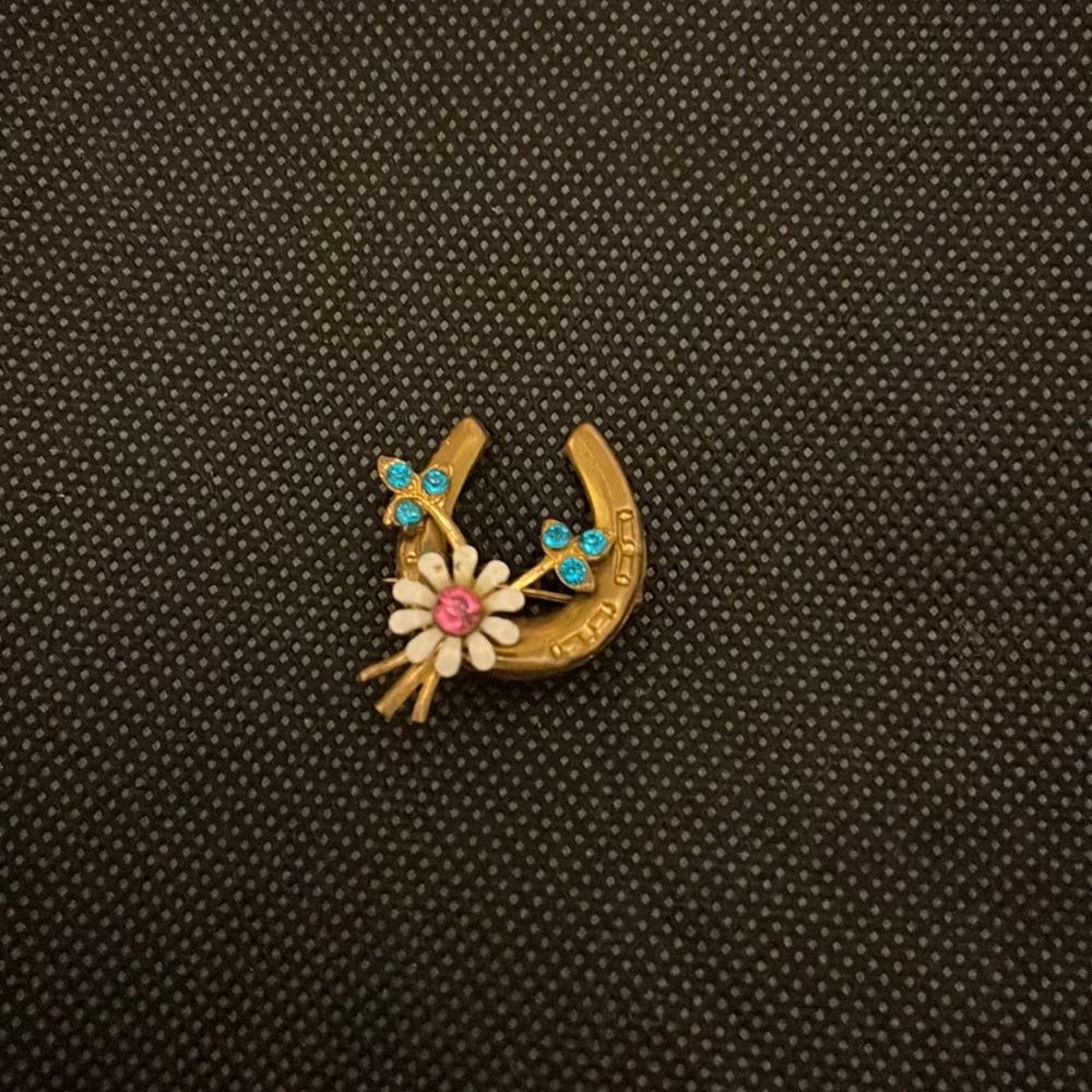 Antique Western Pin
